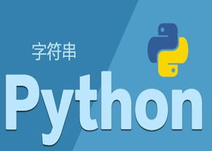 娄底Python入门基础培训教程 - 动脑供信息技术咨询服务